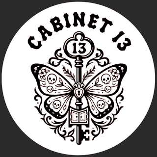 Cabinet 13 cover