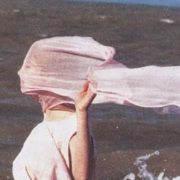 Annie Rees avatar