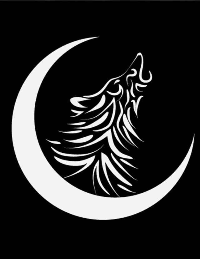 HOWL: New Irish Writing latest issue