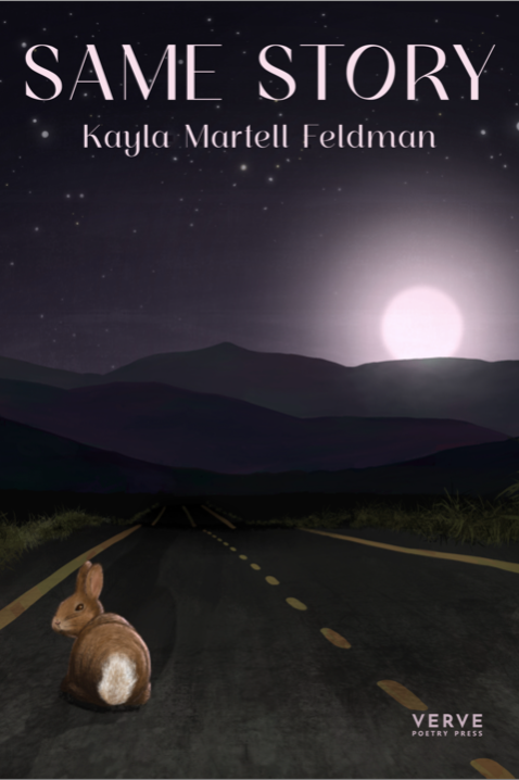 Book cover of Same Story by Kayla Martell Feldman