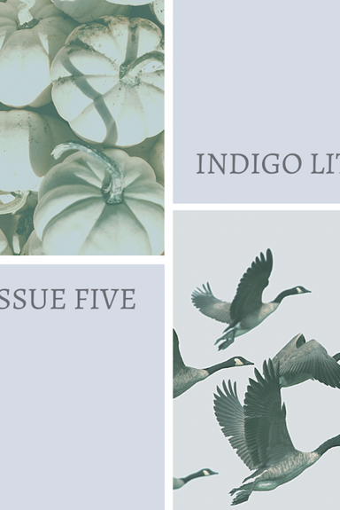 Indigo Literary Journal latest issue