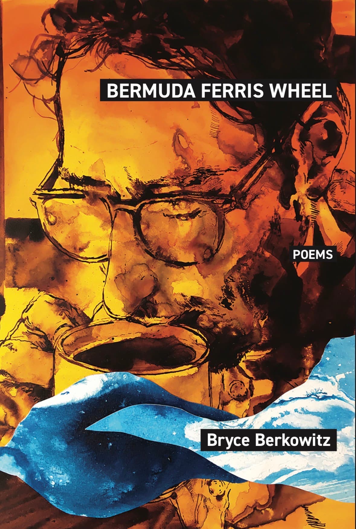 Book cover of Bermuda Ferris Wheel by Bryce Berkowitz