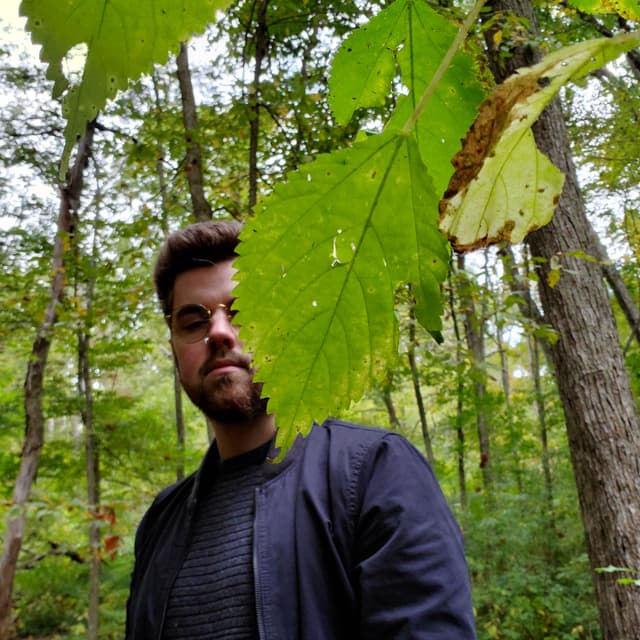 Alec Ivan avatar