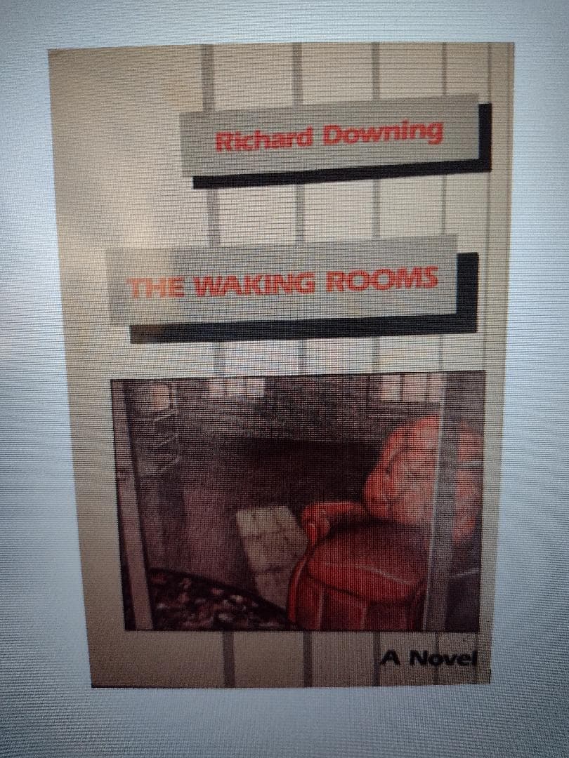 Book cover of The Waking Rooms by hikoou