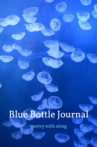 Blue Bottle Journal latest issue