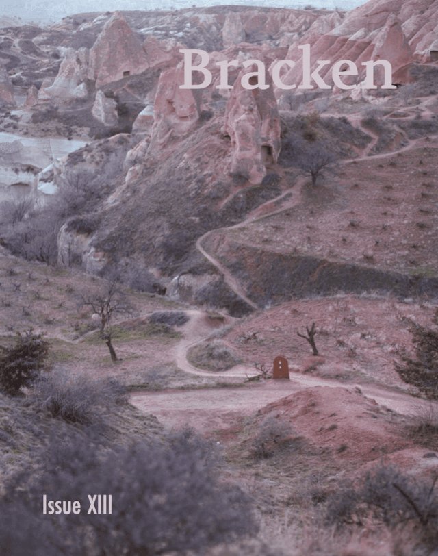 Bracken latest issue