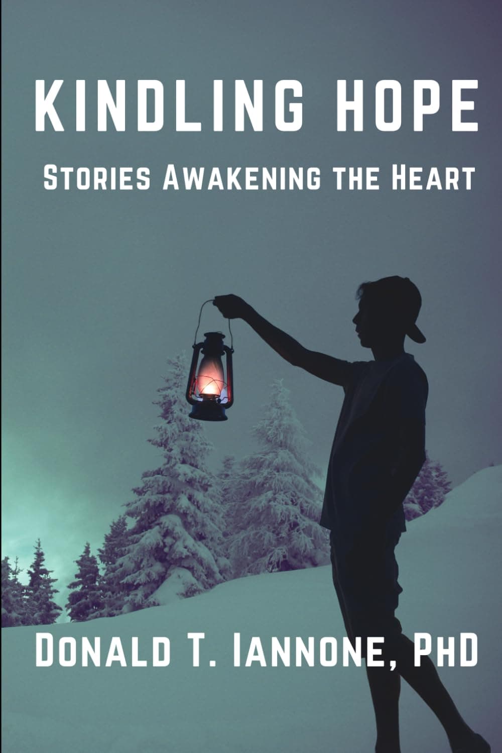 Book cover of Kindling Hope, Stories Awakening the Heart by Don Iannone, Ph.D.