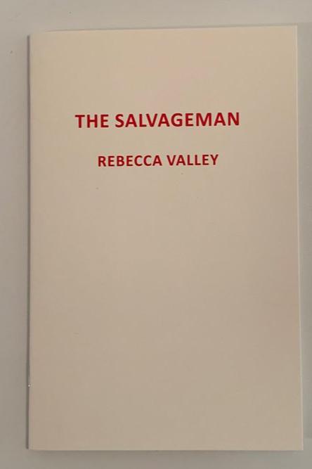 Book cover of The Salvageman by Rebecca Valley 