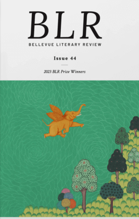 Bellevue Literary Review latest issue