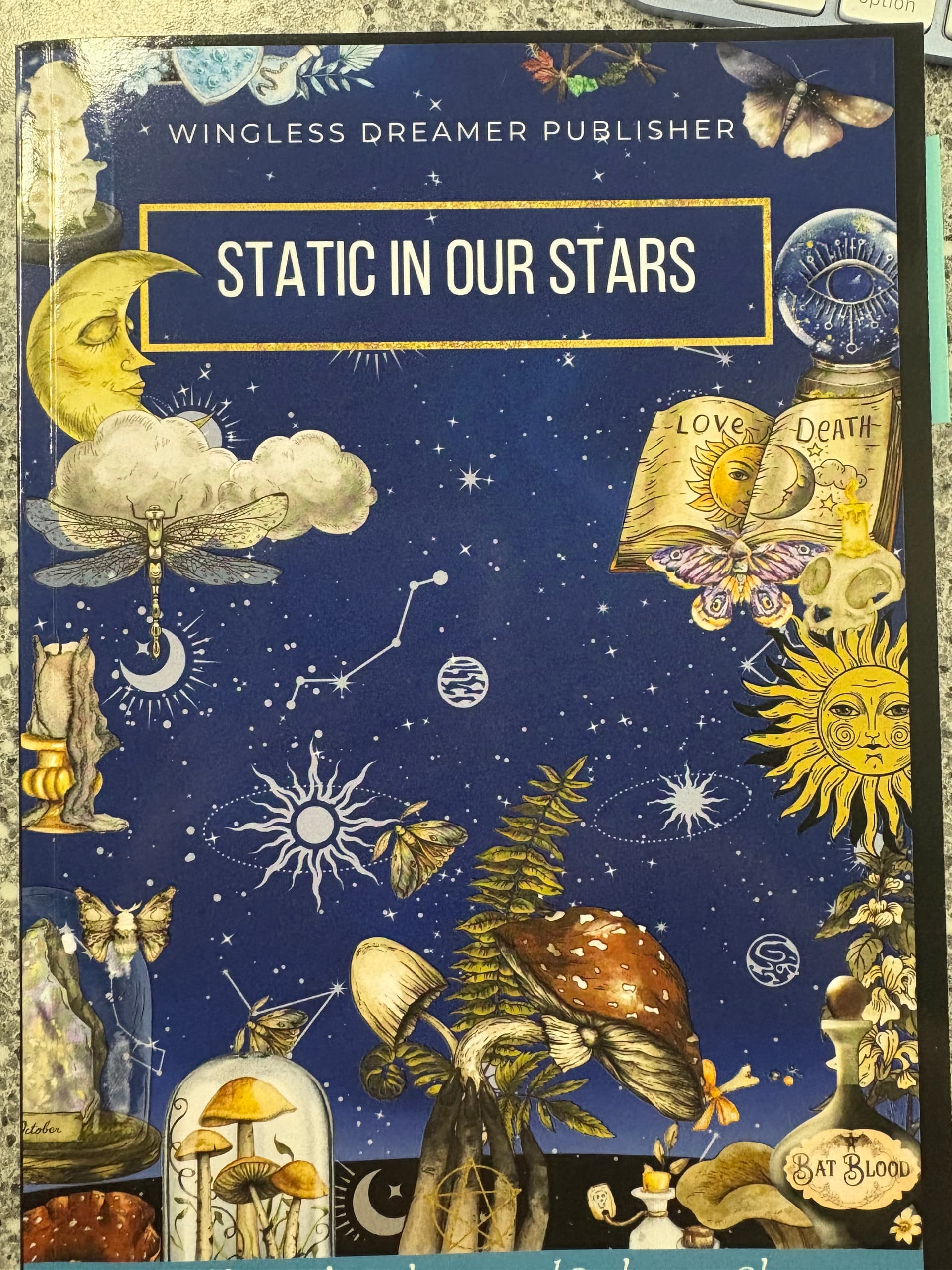 Book cover of Static In Our Stars by Alexandra Grant