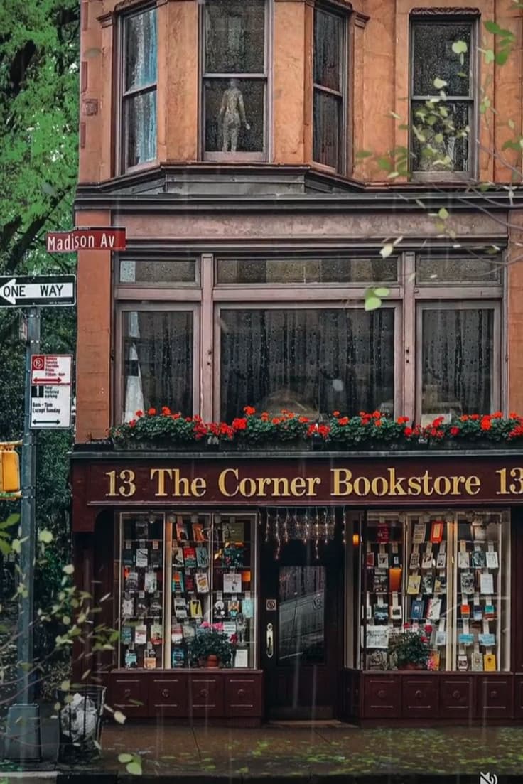 Book cover of THE BOOKSTORE by Ayesha
