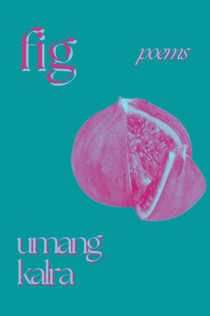 Book cover of fig by Umang Kalra