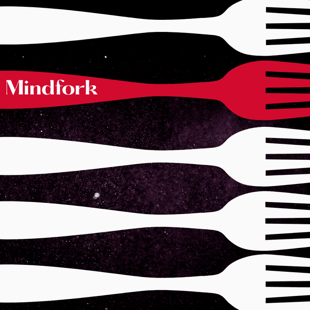 Mindfork latest issue