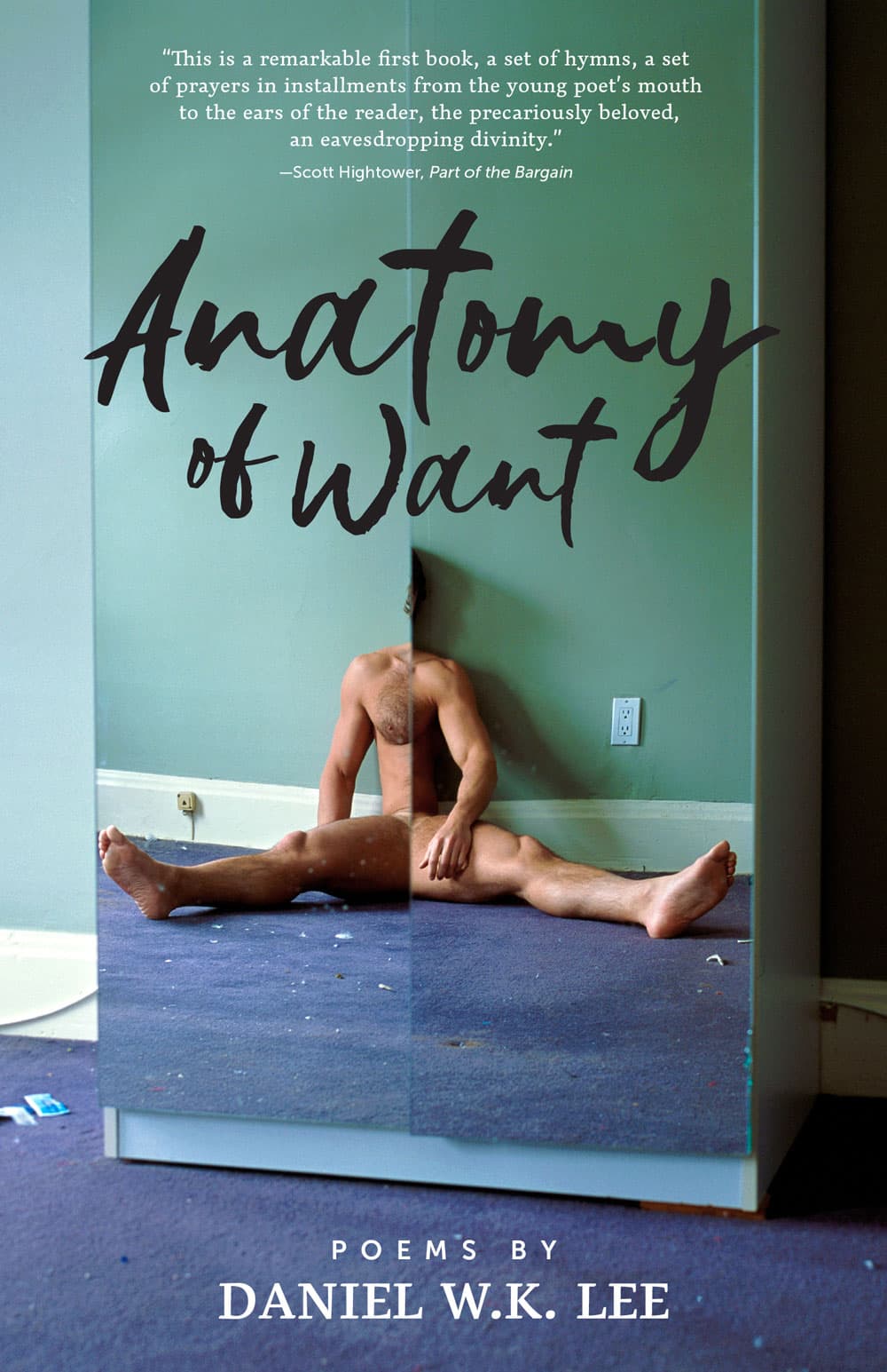 Book cover of Anatomy of Want by Daniel WK Lee