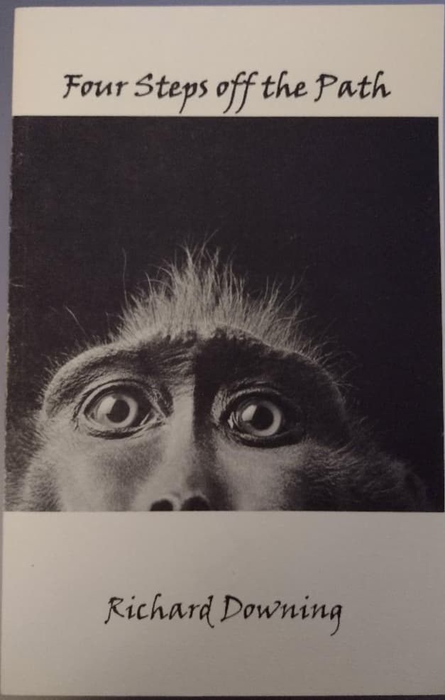 Book cover of Four Steps Off the Path by hikoou