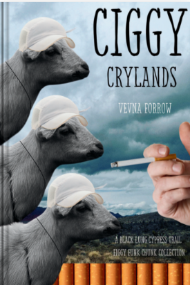 Book cover of ciggy crylands by Vevna Forrow
