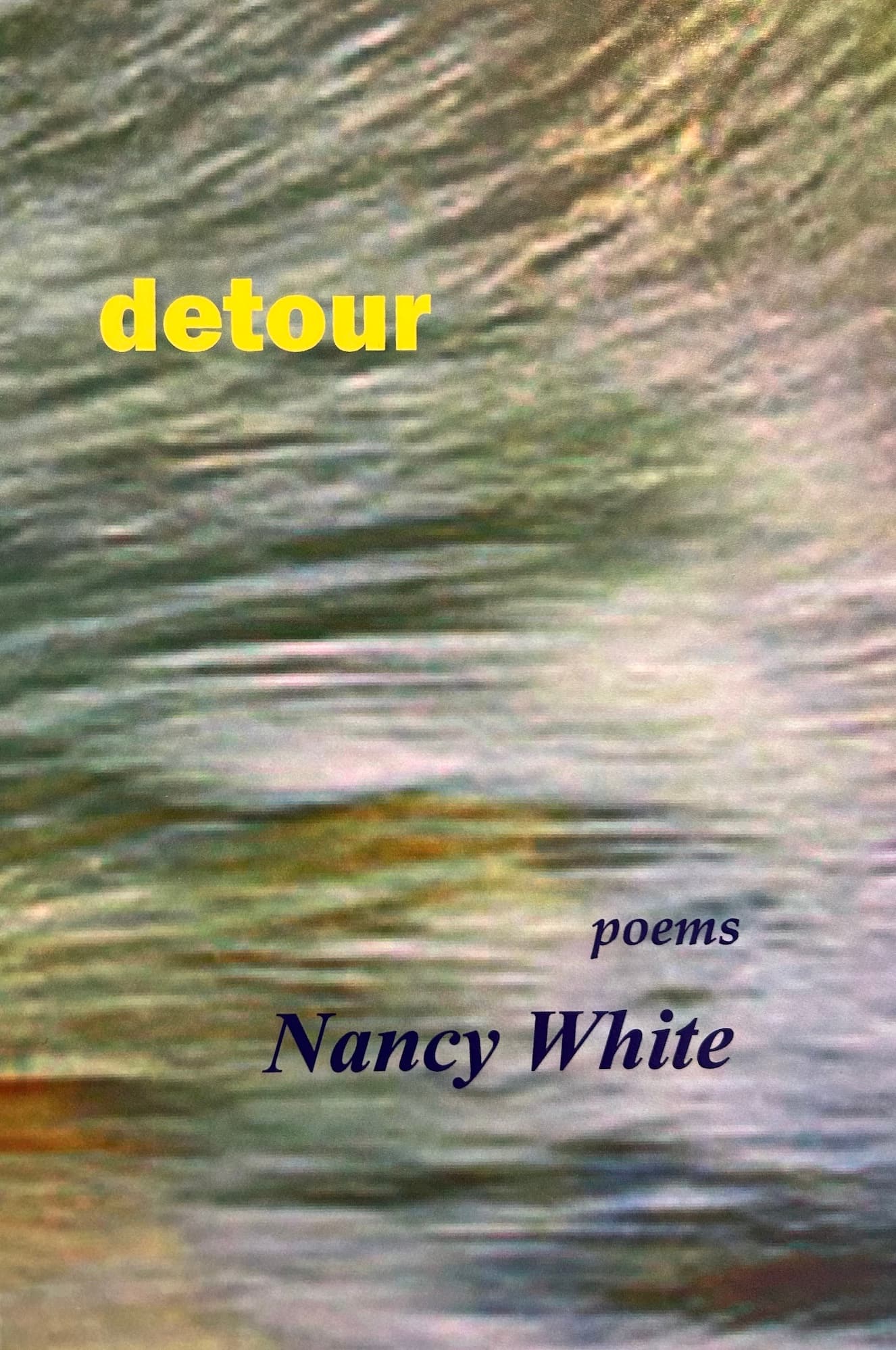 Book cover of Detour by Nancy White