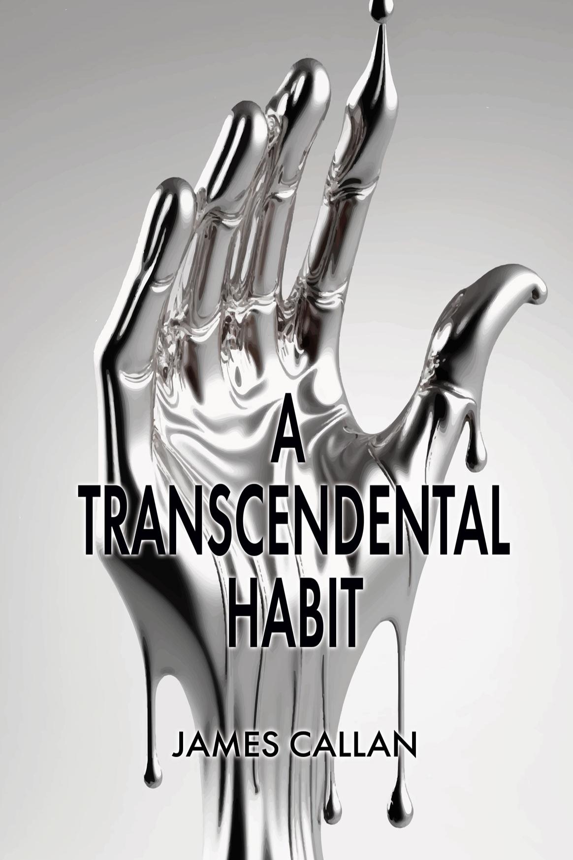 Book cover of A Transcendental Habit by james_callan