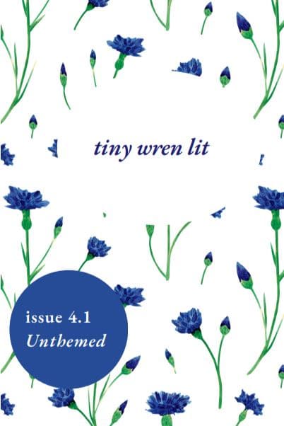 Tiny Wren Lit latest issue