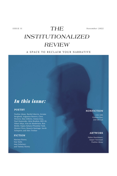 The Institutionalized Review latest issue