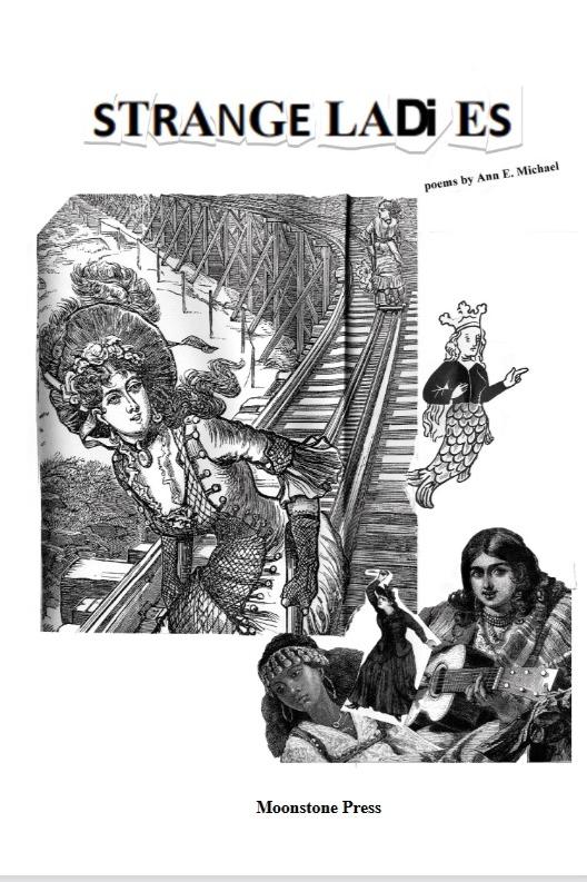 Book cover of Strange Ladies by Ann E. Michael