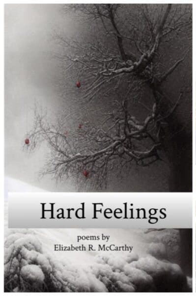 Book cover of Hard Feelings by Elizabeth R. McCarthy
