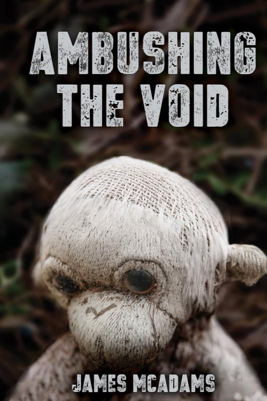 Book cover of Ambushing the Void by James Timothy McAdams