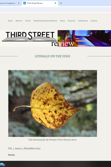 Third Street Review latest issue