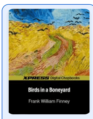 Book cover of Birds in a Boneyard by fwfsubs