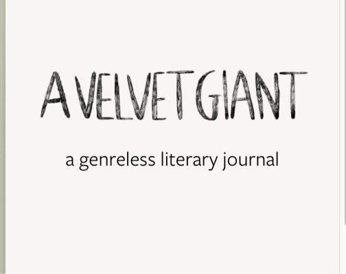 A Velvet Giant latest issue