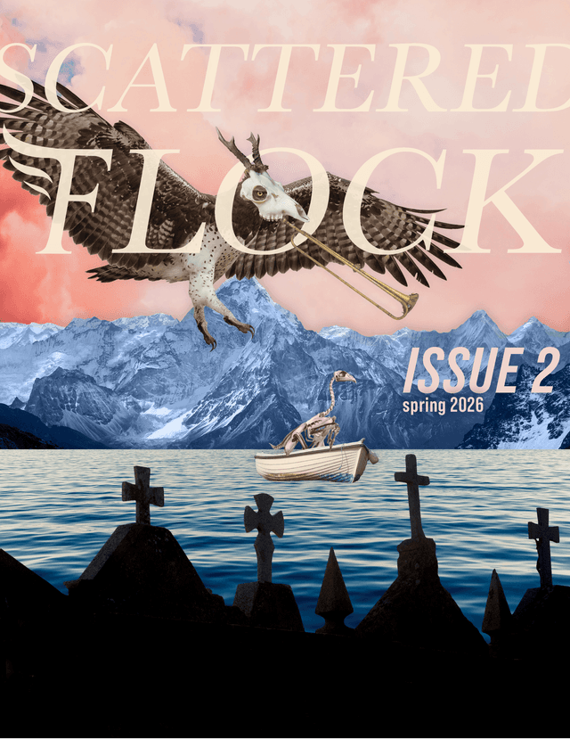 Scattered Flock latest issue