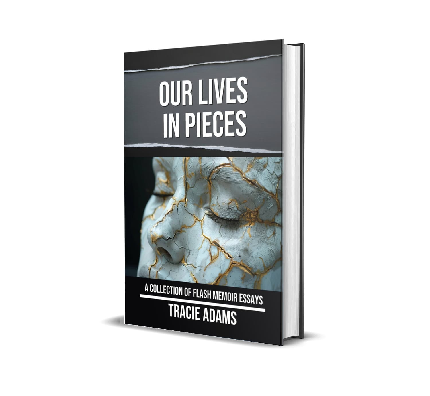 Book cover of Our Lives in Pieces by Tracie Adams