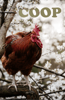 COOP: chickens of our poetry