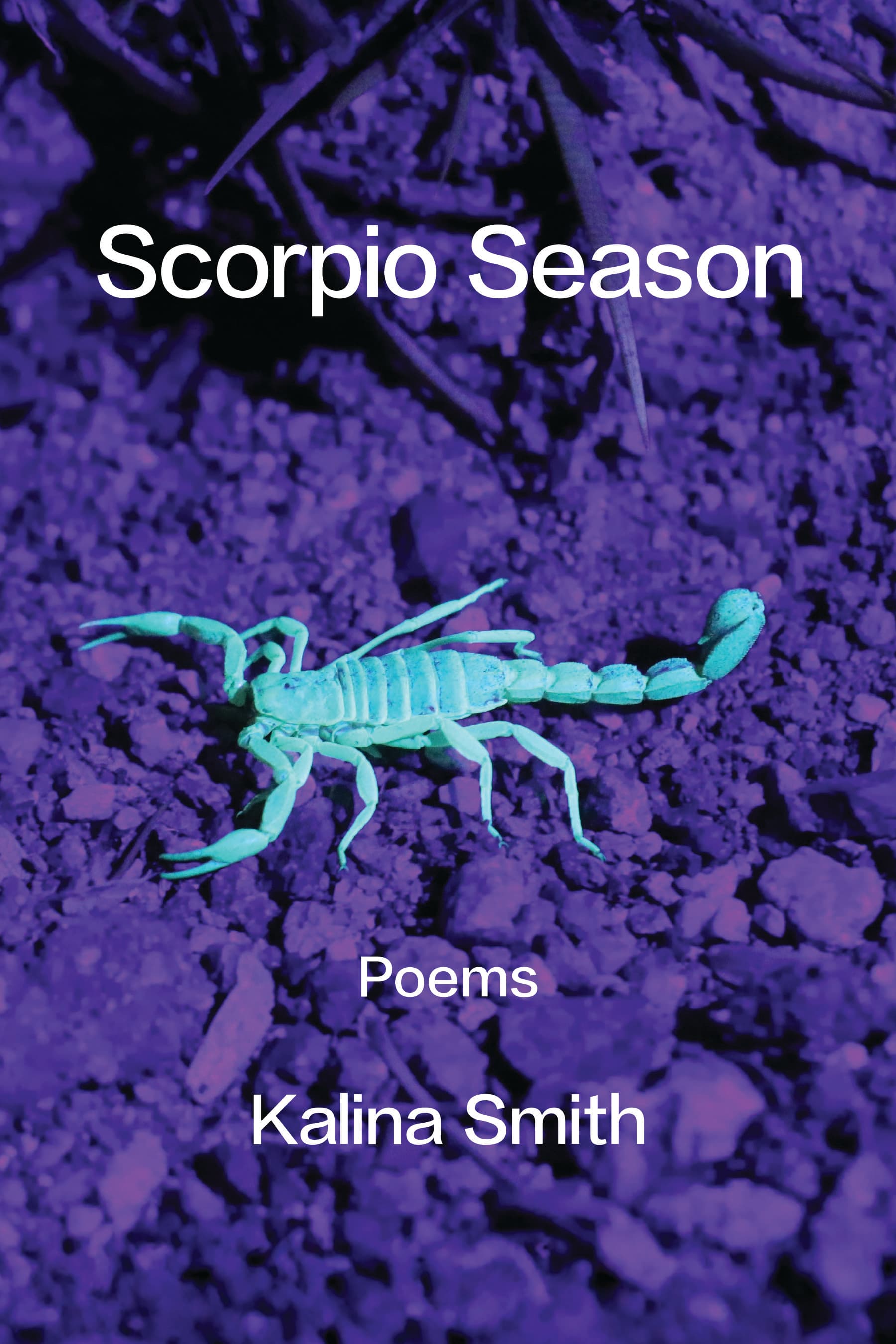 Book cover of Scorpio Season by Kalina Smith