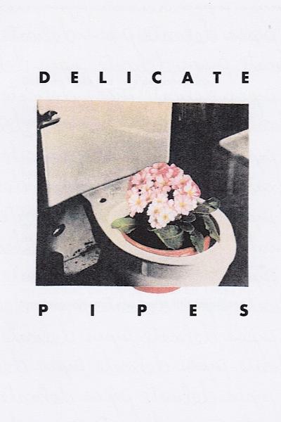 Book cover of Delicate Pipes by Erin Dorney