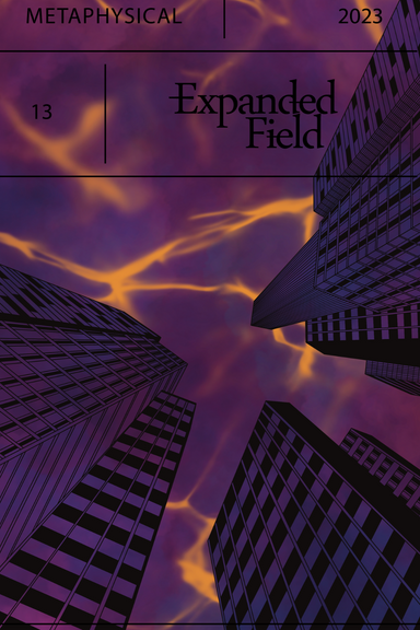 Expanded Field latest issue