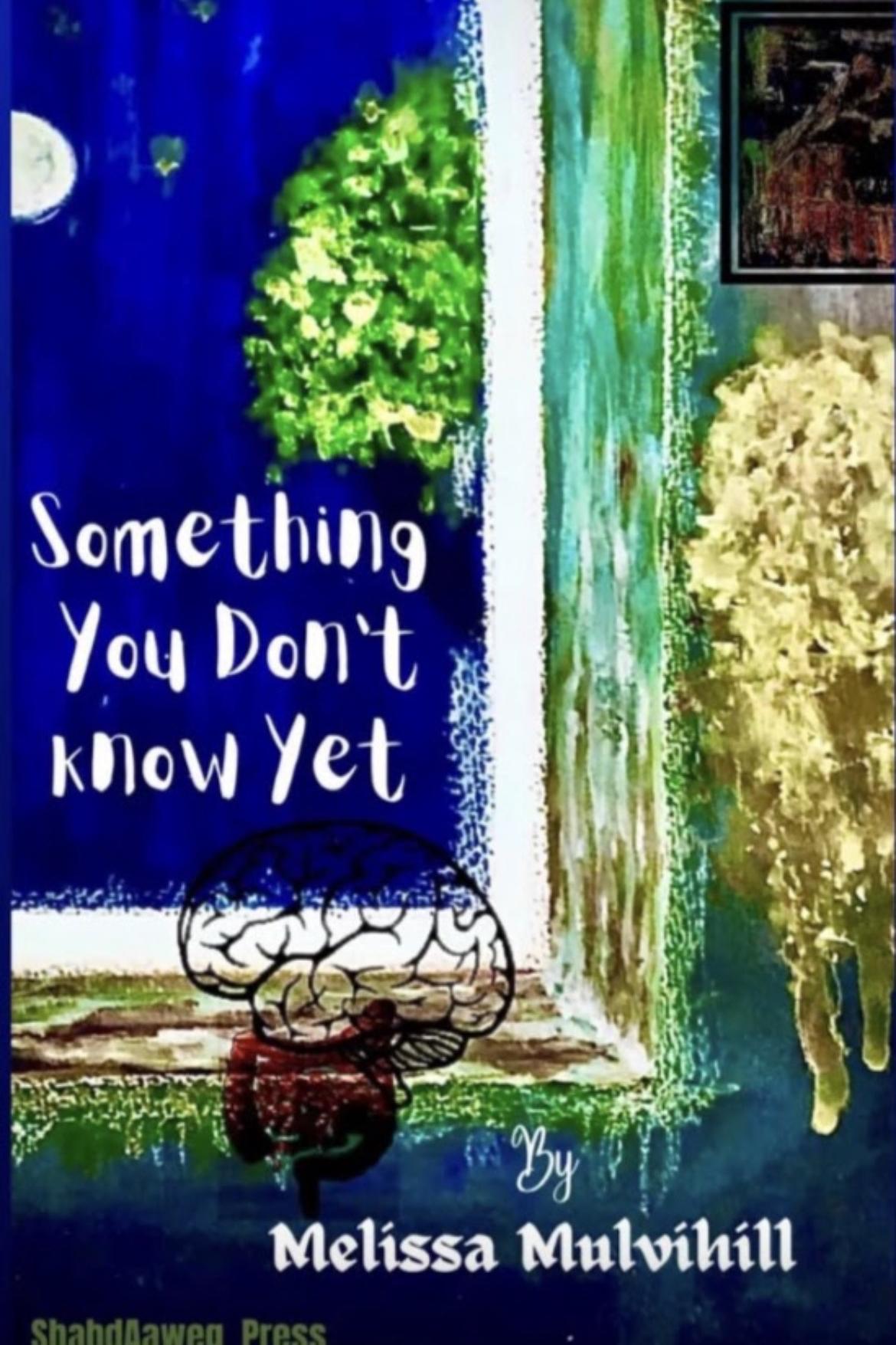 Book cover of Something You Don’t Know Yet by Melissa Mulvihill