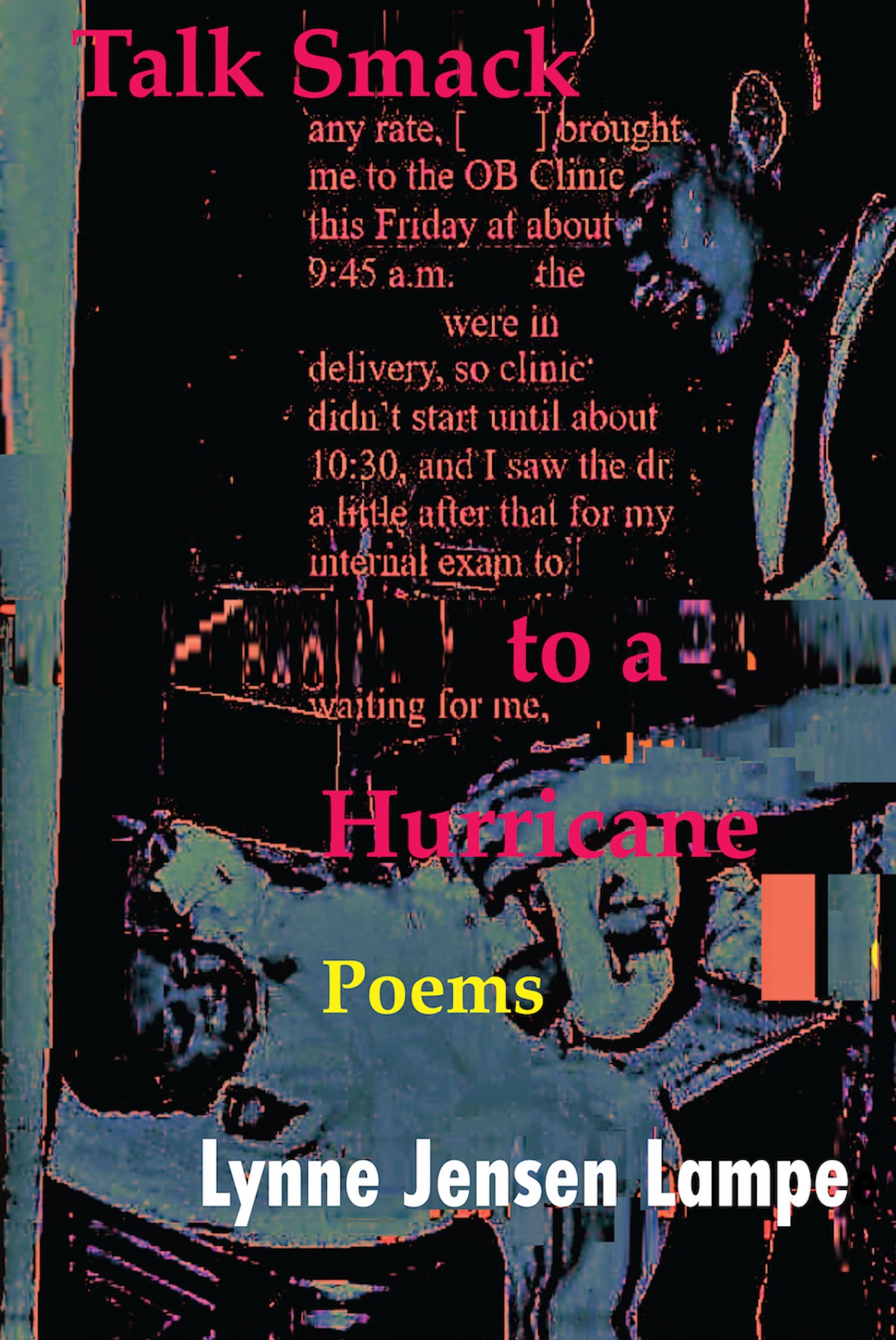 Book cover of Talk Smack to a Hurricane by Lynne Jensen Lampe