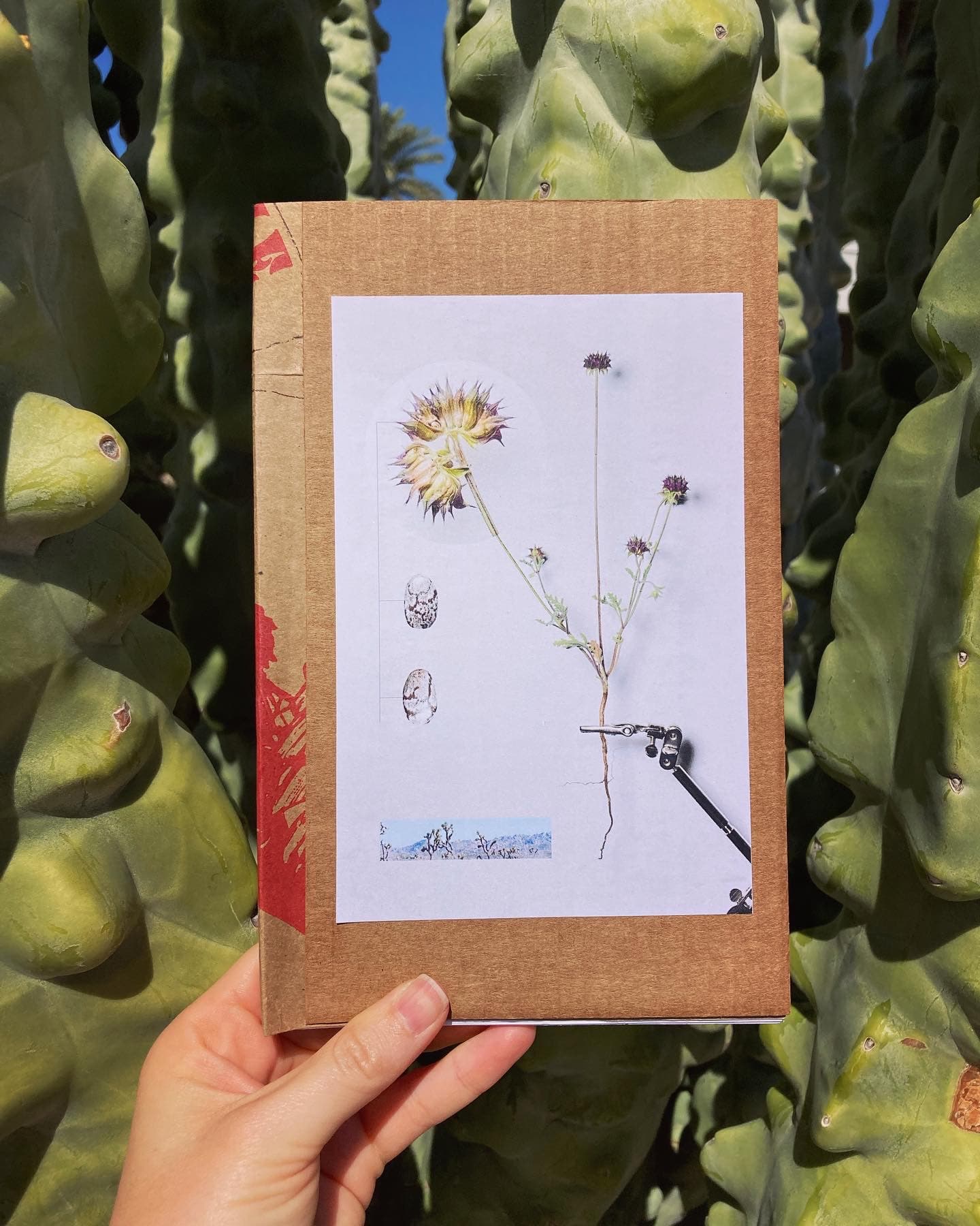 Book cover of issue six by Sophia McGovern