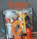 shoegaze literary