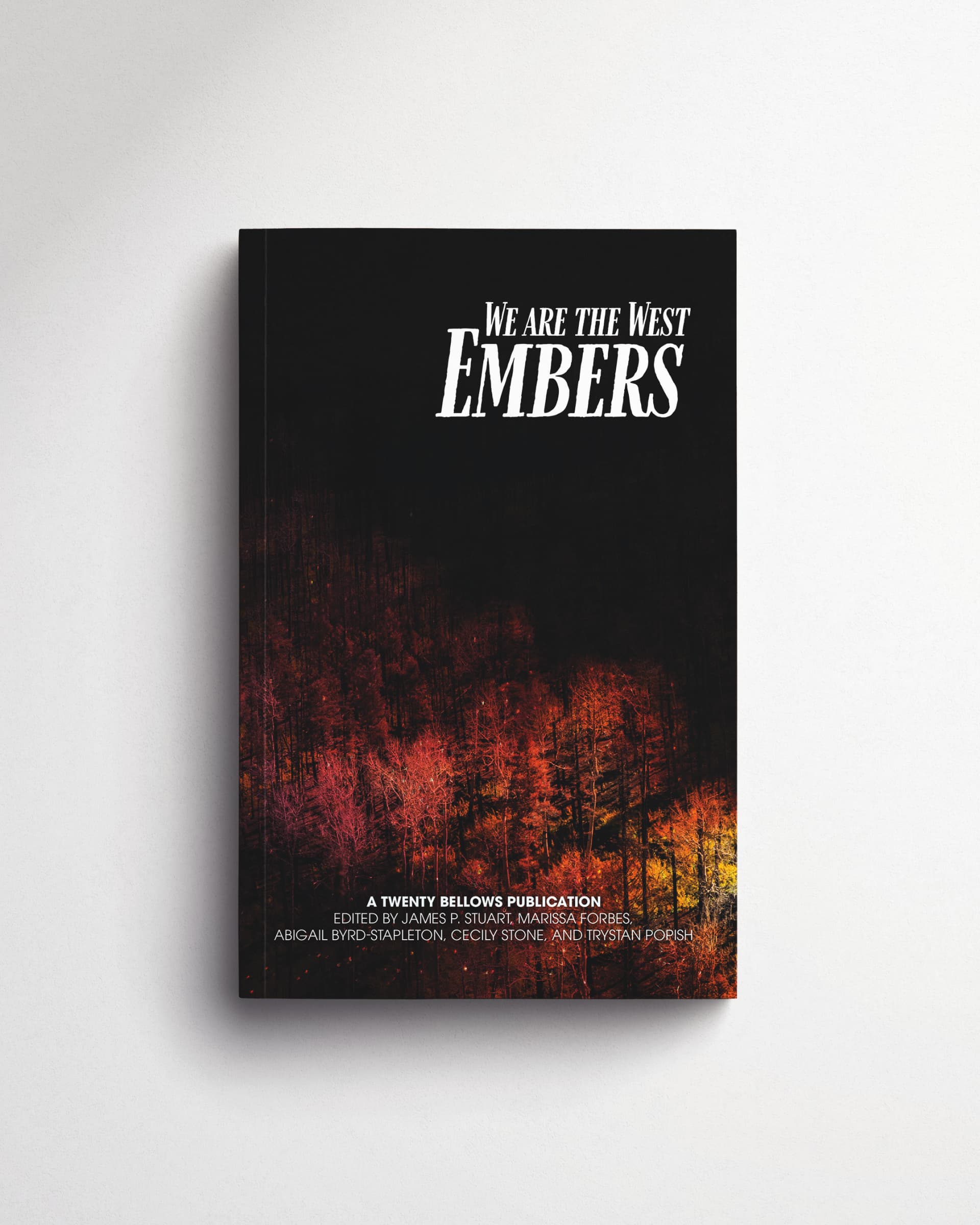 Book cover of We Are the West: Embers by madeleine.boyson