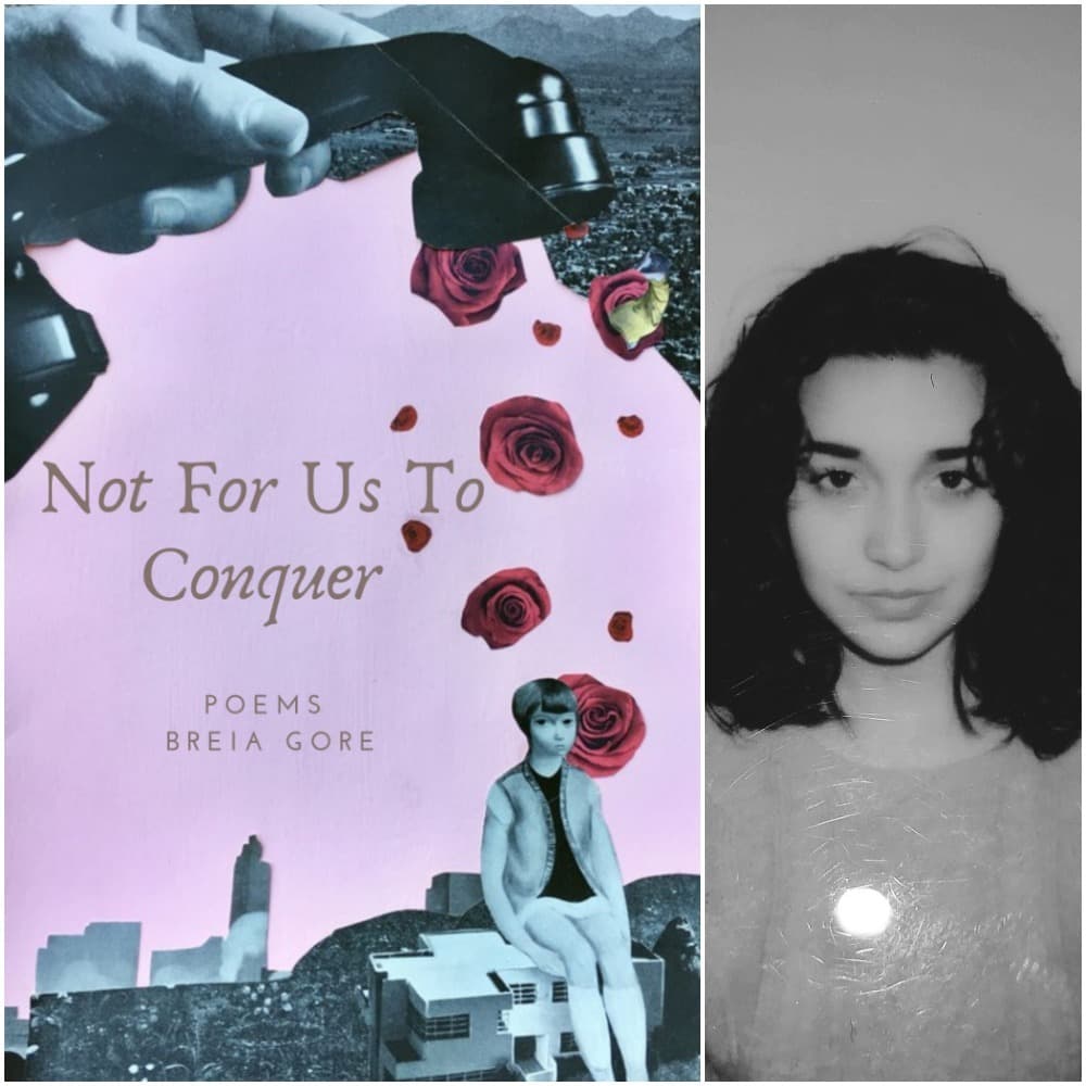 Book cover of Not For Us To Conquer by Breia Gore