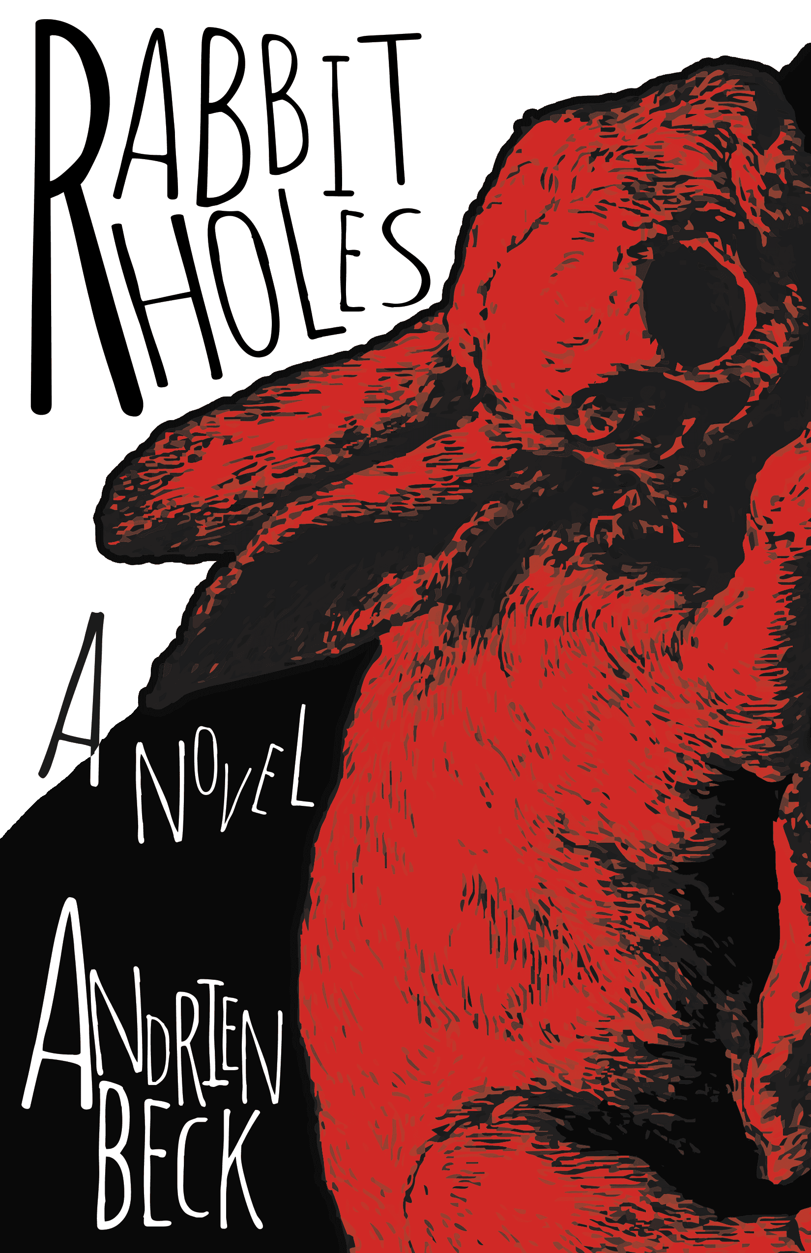 Book cover of Rabbit Holes by andrienbeck