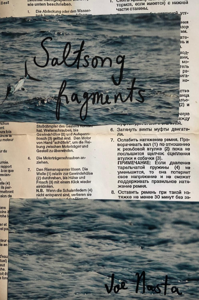 Book cover of saltsong fragments by Joe Nasta