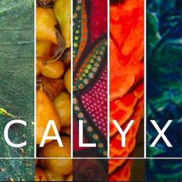 Logo of CALYX Journal literary magazine