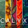 CALYX Journal logo