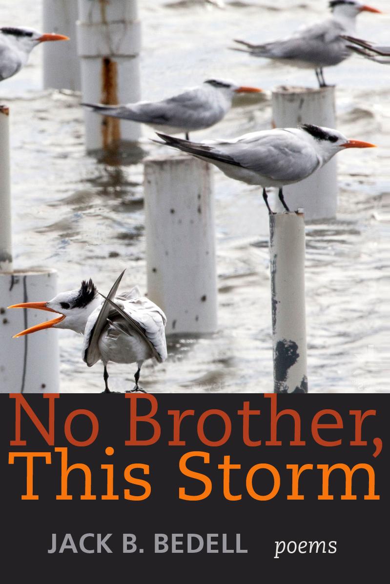 Book cover of No Brother, This Storm by jackbedell