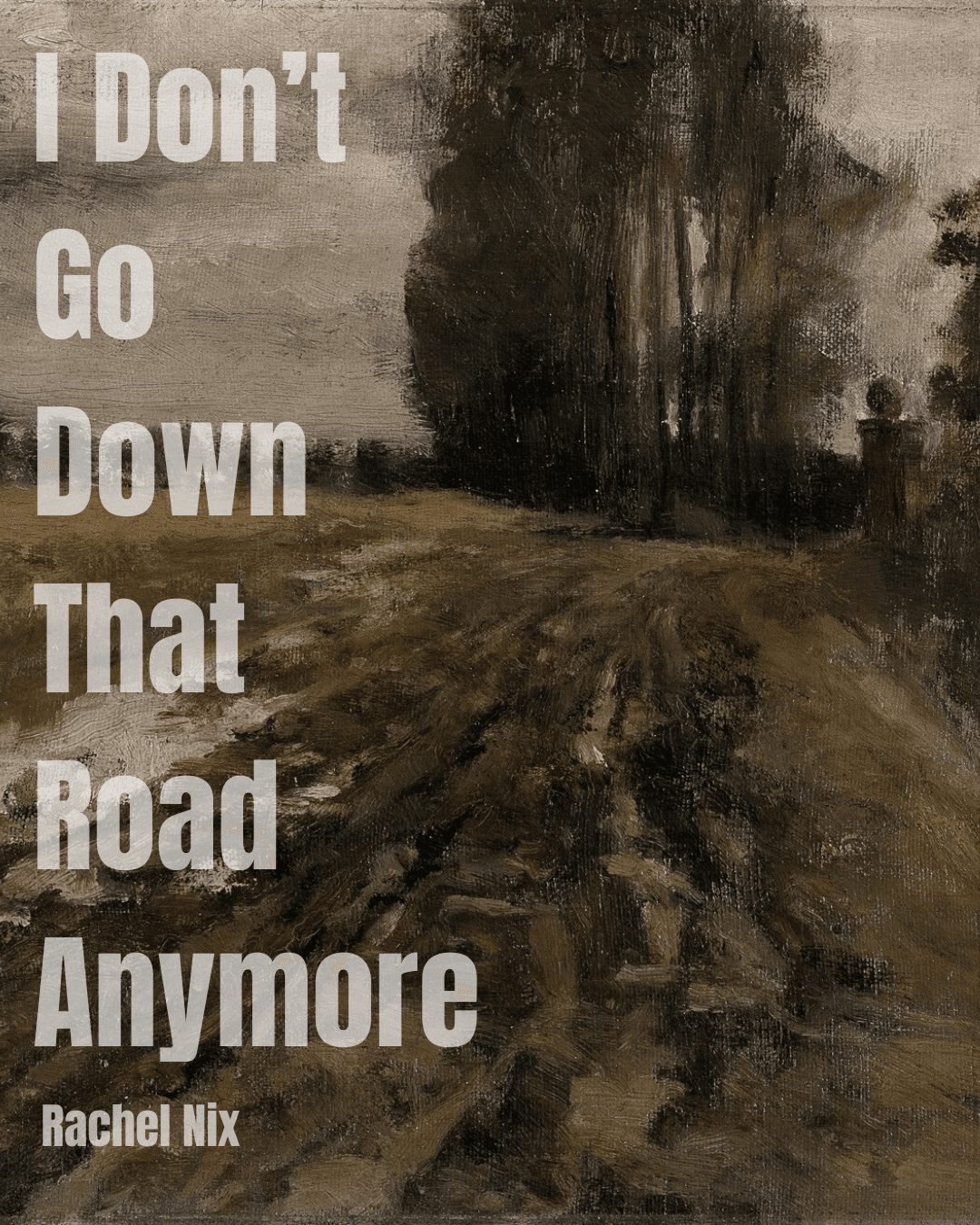 Book cover of I Don't Go Down That Road Anymore by Rachel Nix