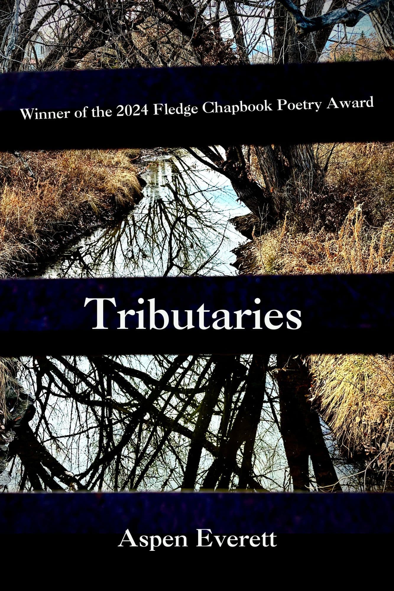 Book cover of Tributaries by Aspen Everett