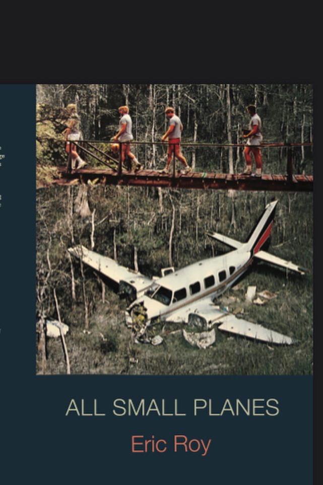 Book cover of All Small Planes by Eric Roy